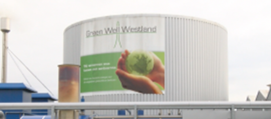 Green Well Westland